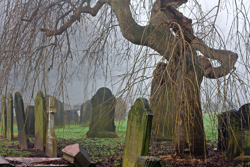 Five Scary Halloween Adventures You Can Take for Free in New Jersey