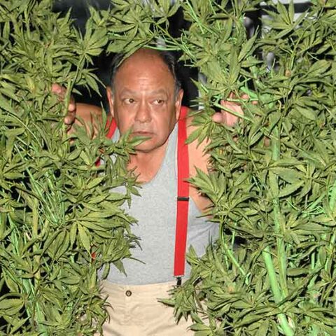 New jersey hosting national bring your own weed expo featuring cheech marin - photo licensed by shore news network.