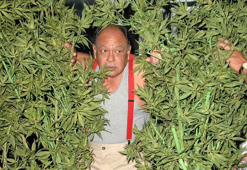 New Jersey Hosting National Bring Your Own Weed Expo Featuring Cheech Marin