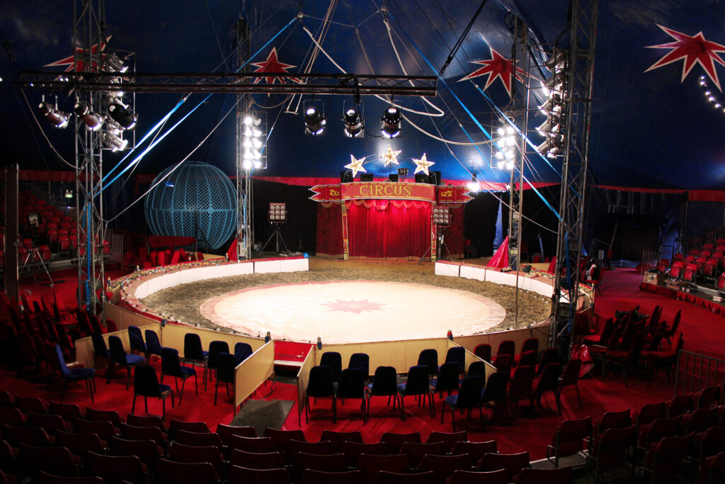 The Circus is Coming to New Jersey