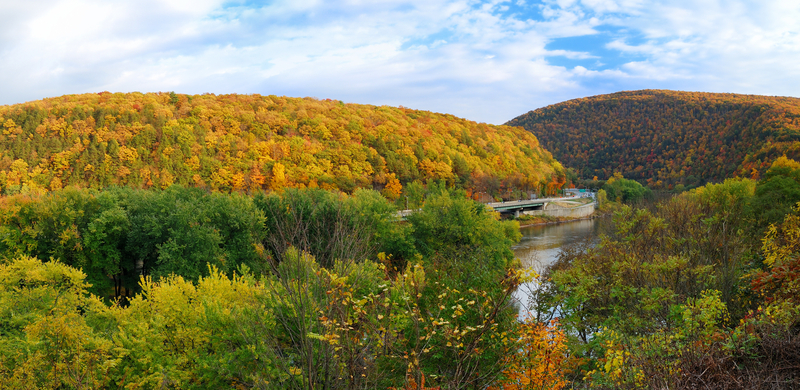 Five Must-Visit Spots in New Jersey for an Unforgettable Fall Experience