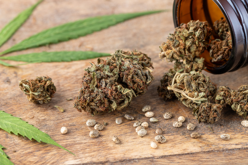 Giovine to Legalize Sale of Marijuana in Toms River