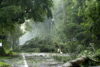 New jersey dep issues climate change warning for residents