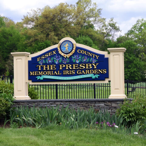 Fall is a great time to make a daytrip to montclair - photo licensed by shore news network.