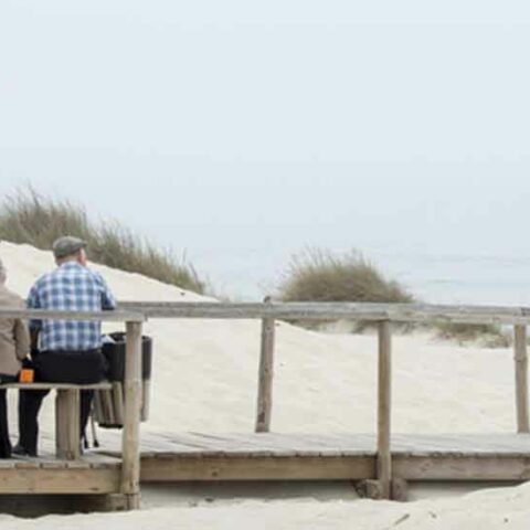 Here's why so many new yorkers, northerners choose ocean county for retirement - photo licensed by shore news network.