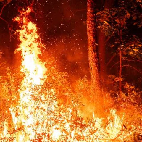 What's on fire? Residents in ocean county report smoke conditions overnight - photo licensed by shore news network.