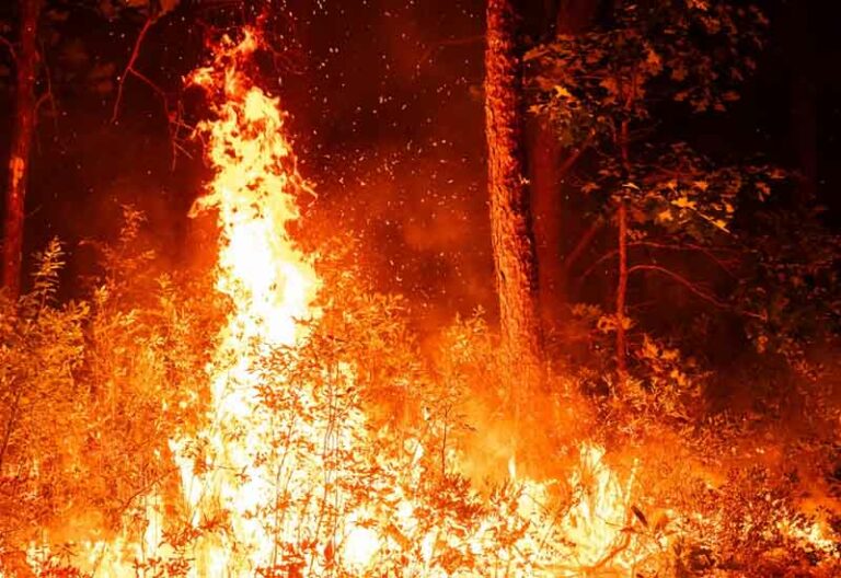 Wildfire in wharton state forest: current updates - photo licensed by shore news network.