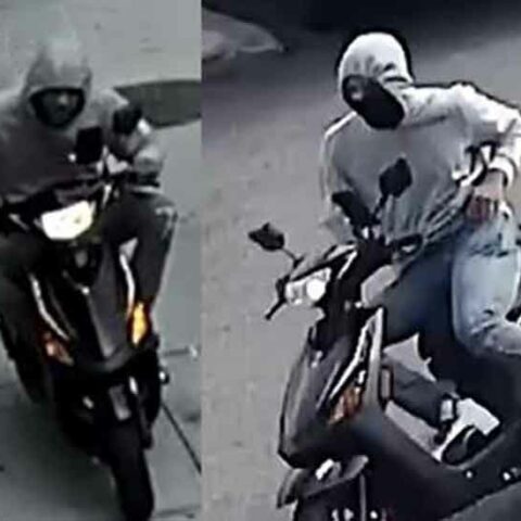 Moped bandits terrorizing bronx residents - photo licensed by shore news network.