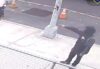 Nypd investigating shooting blocks from popular bronx zoo
