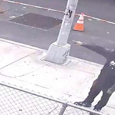 Nypd investigating shooting blocks from popular bronx zoo - photo licensed by shore news network.