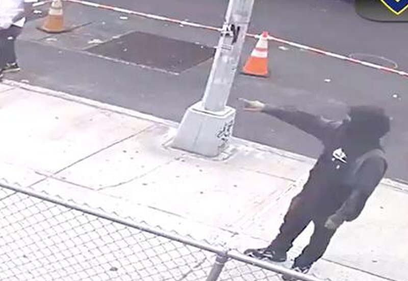 NYPD Investigating Shooting Blocks from Popular Bronx Zoo