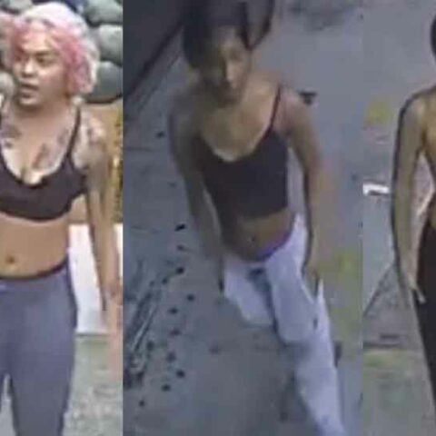 Three women used taser during $7 armed robbery at bronx market - photo licensed by shore news network.