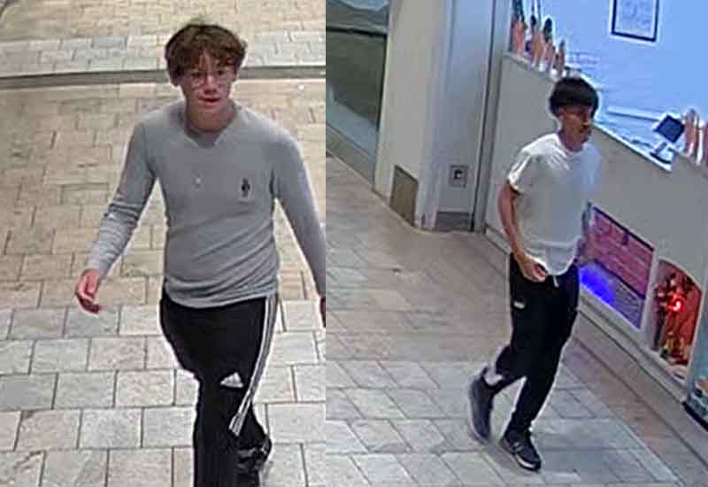 Police Seek Public's Help in Identifying Westfield Wheaton Mall Robbery Suspects