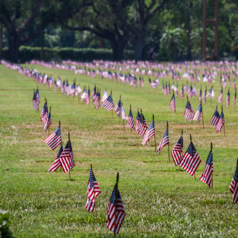 Phil murphy had one job at veterans homes, keep our heroes alive, and he failed - photo licensed by shore news network.