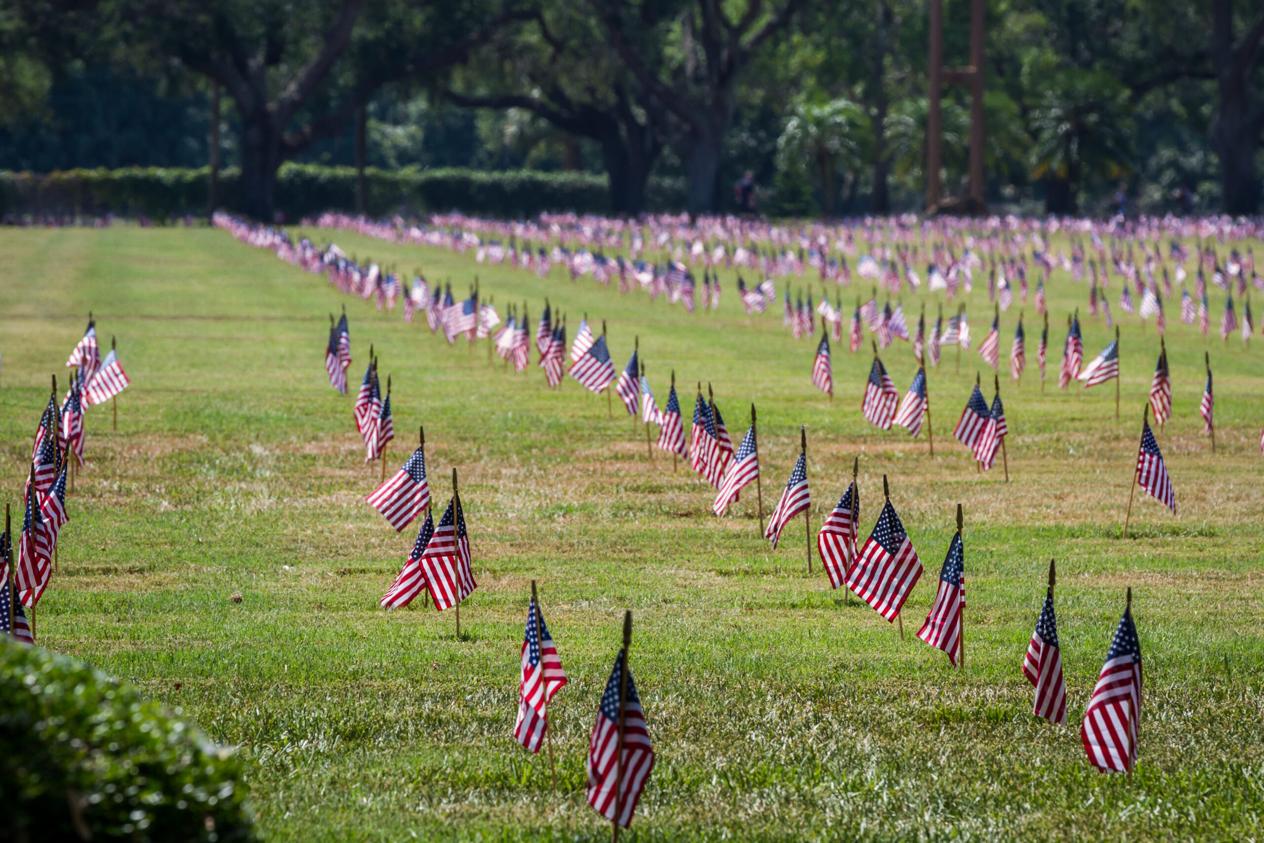 Phil Murphy Had One Job at Veterans Homes, Keep Our Heroes Alive, And He Failed