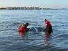 Stranded whale freed in barnegat bay swims off into sunset beached again