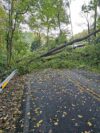 Traffic advisory: stinnett road closure in huntingtown due to fallen trees