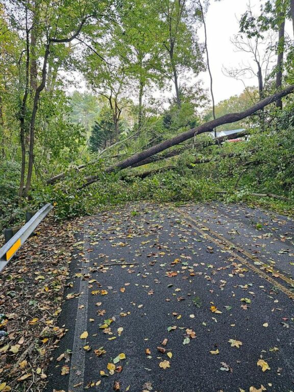 Traffic Advisory: Stinnett Road Closure in Huntingtown Due to Fallen Trees