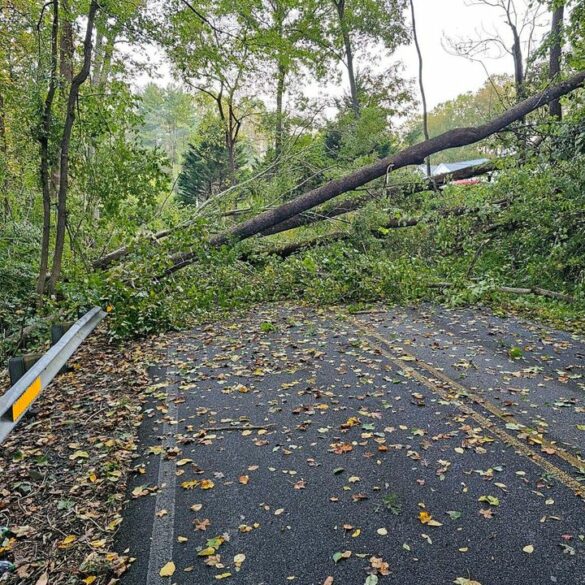 Traffic advisory: stinnett road closure in huntingtown due to fallen trees - photo licensed by shore news network.