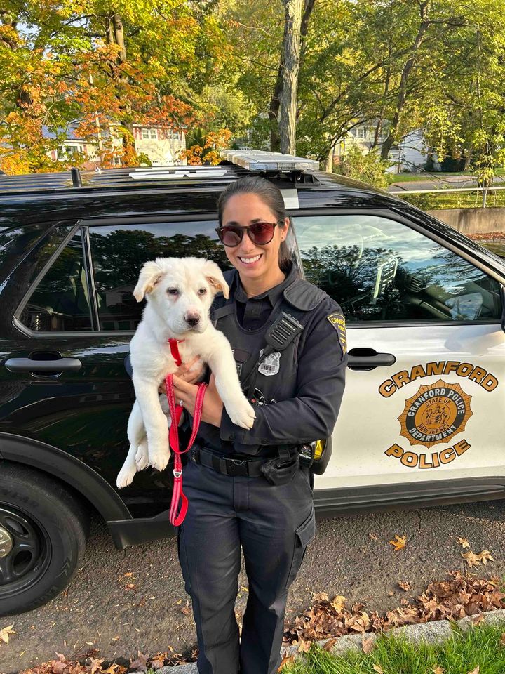 Cranford PD Features Puppy Aspen in 'Woof Wednesday' Adoption Initiative