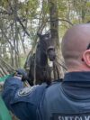 Suffolk County Police Rescue Horse Stuck in Mud at Blydenburgh Park Suffolk County Police Rescue Horse Stuck in Mud at Blydenburgh Park
