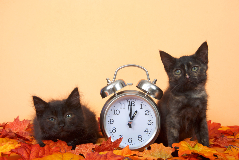 Time is Ticking on Fall Clock Change, Here's When it Is and What You Should Do