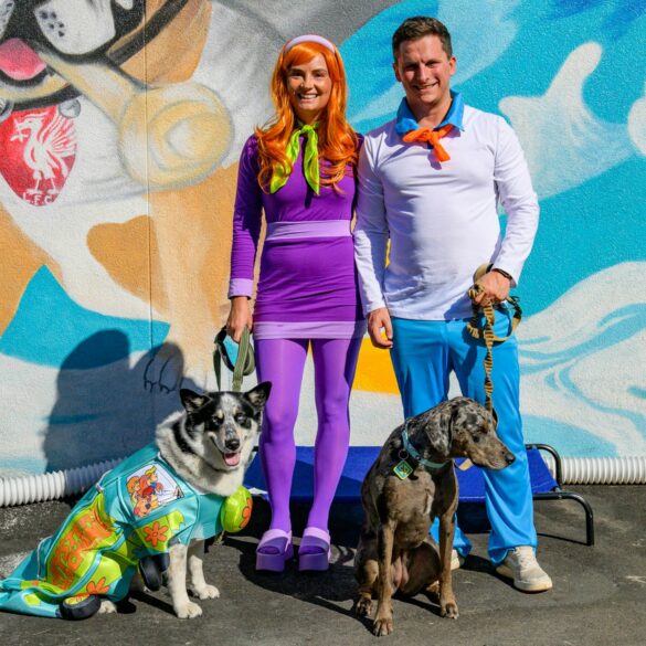 Halloween has gone to the dogs in atlantic city - photo licensed by shore news network.