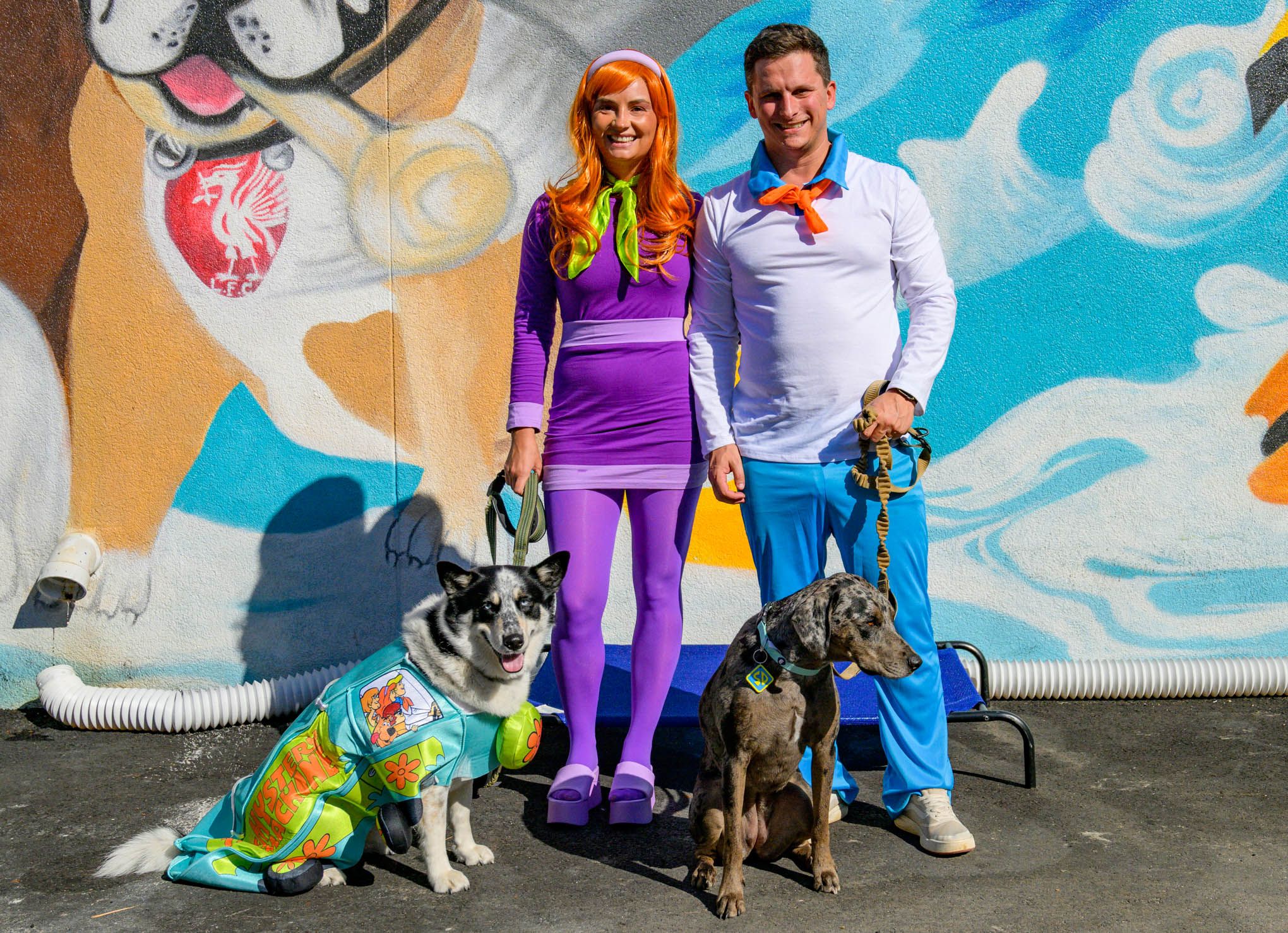 Halloween Has Gone To The Dogs in Atlantic City