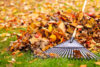 Brick township fall leaf collection: what you need to know
