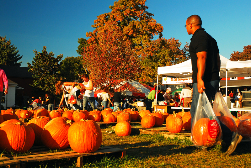Unique Fall Fun Can Be Found in All Corners Across New Jersey