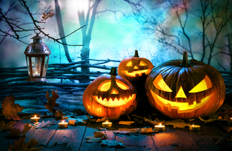 Toms River to host fall festival with hayrides, pumpkin patch, and more this weekend