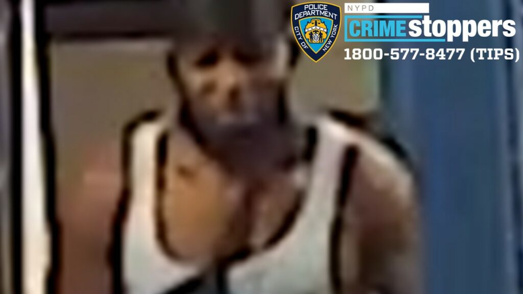 Subway Rider Hospitalized in Unprovoked Attack Inside Bronx Subway Station Subway Rider Hospitalized in Unprovoked Attack Inside Bronx Subway Station
