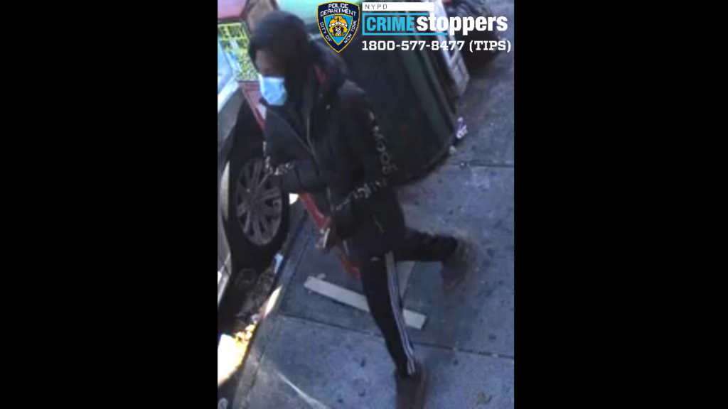 15-Year-Old Shot in Broad Daylight by Multiple Gunmen in Jamaica, Queens