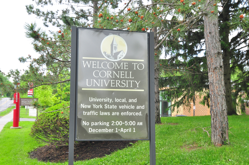 Cornell Professor Faces Backlash for Statements on Hamas and Police Group