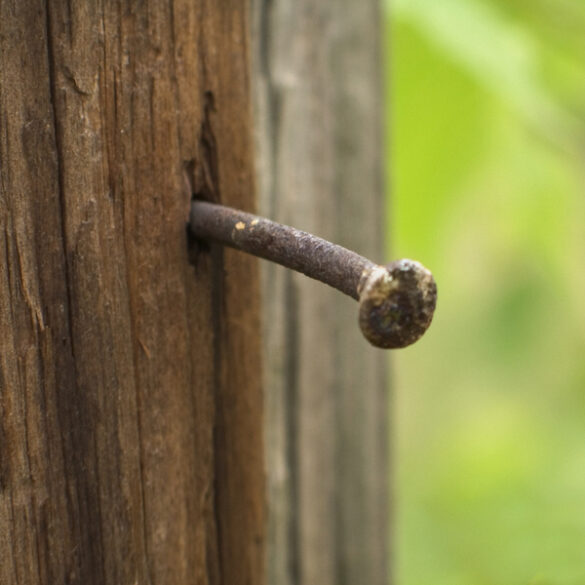 Swastika spraypainted on utility pole in warrington - photo licensed by shore news network.