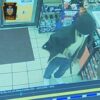 Two sought in armed robbery caught on camera