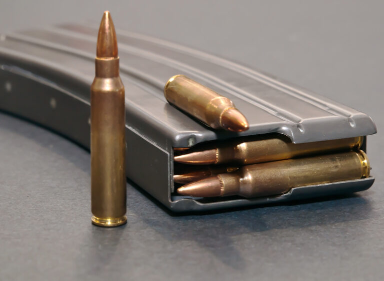 New jersey sues nevada company for illegal magazine sales - photo licensed by shore news network.