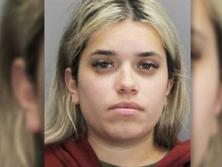 Au pair arrested in double homicide case in northern virginia neighborhood - photo licensed by shore news network.