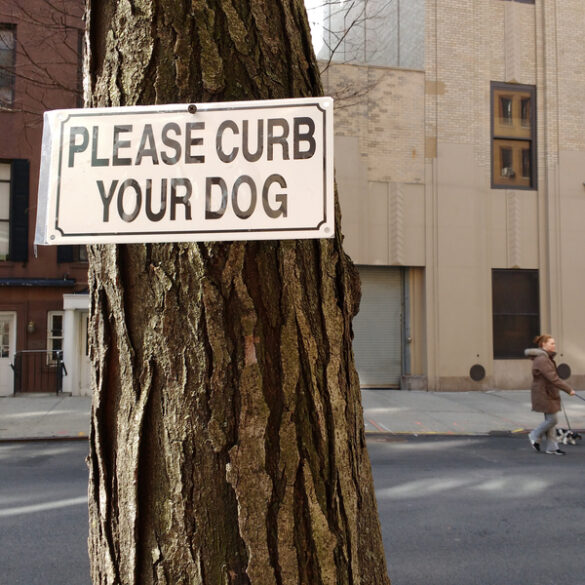 Florida woman pleads not guilty to smearing dog poop on her 76-year-old neighbor - photo licensed by shore news network.
