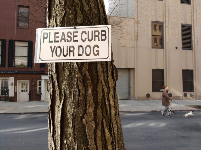 Florida woman pleads not guilty to smearing dog poop on her 76-year-old neighbor - photo licensed by shore news network.