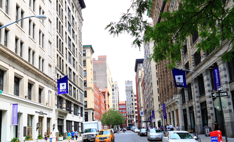 The Best Colleges and Universities in New York Rated
