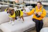 Highlands hosts 6th annual howl-o-ween event for dogs and owners