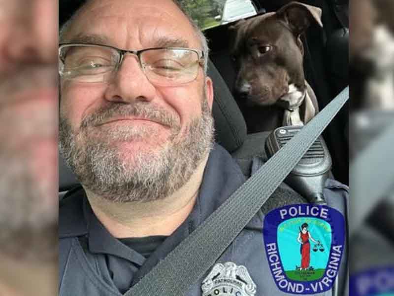 Richmond Police Officer Recovers Dog After it Lept From Owner's Car and Stolen