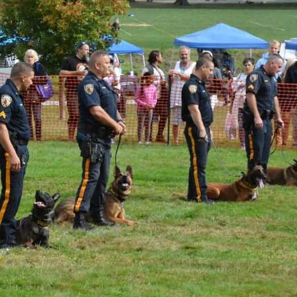 Paws in the parkdog friendly celebration at goffle brook park - photo licensed by shore news network.