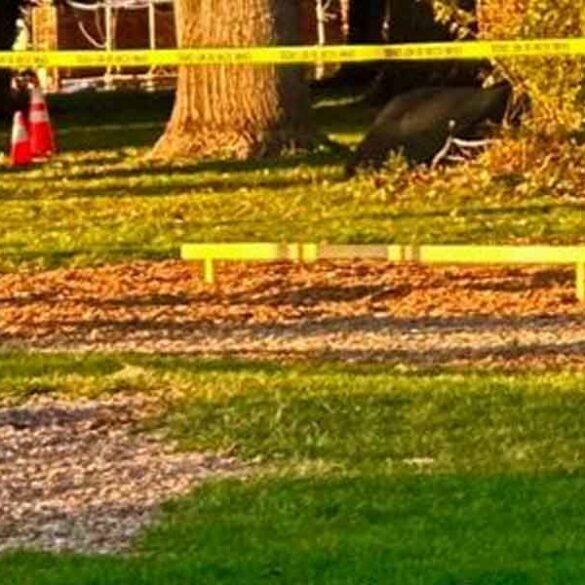Gunshots strike teen at baltimore elementary school playground - photo licensed by shore news network.