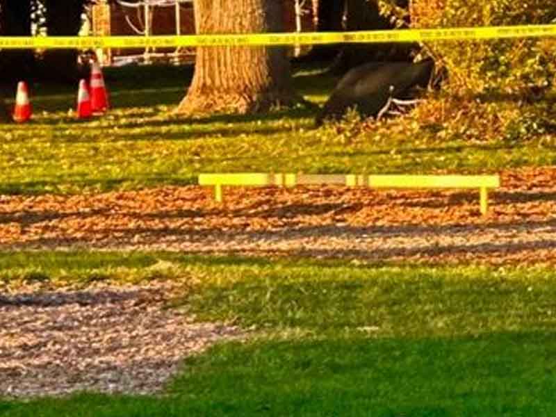 Gunshots Strike Teen at Baltimore Elementary School Playground