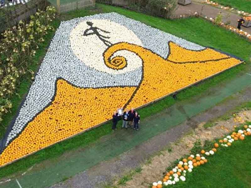 Family Builds Huge Halloween Mosaic of Jack the Pumpkin King out of Pumpkins