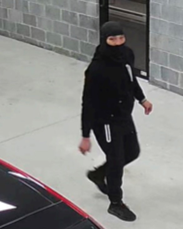 Police in Newark Appeal for Help to Identify Suspect in Vehicle Burglary Case
