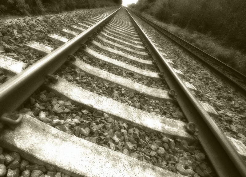 Train Service on Purpleline Stops Due to Roadway Crash