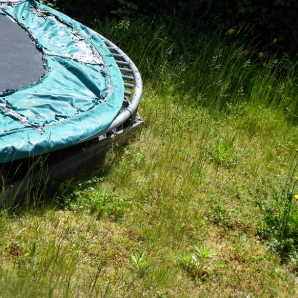 13-year-old girl shot while playing on trampoline - photo licensed by shore news network.